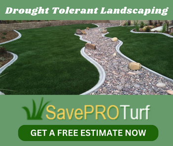 Save Pro turf