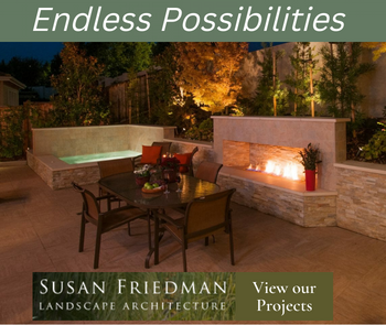 Susan Friedman Landscape