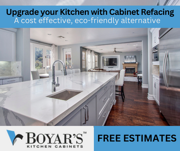 Boyar cabinets