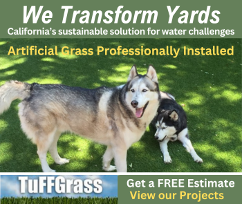 Tuffgrass