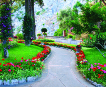 Silicon Valley Landscape